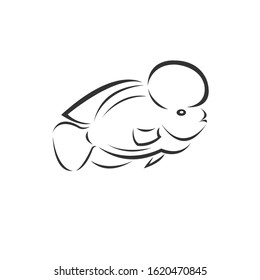 Vector Cichlids fish Black. illustration. logo. icon. symbol. on white background
