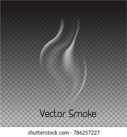 vector cigarette smoke on transparent background. Isolated smoke