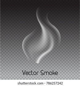 vector cigarette smoke on transparent background. Isolated smoke