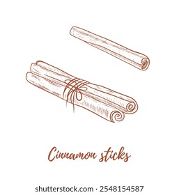 Vetor cinammon sticks ilustração de arte de linha, arte de linha gráfica. Especiarias para vinho ruminado. Canela. Ilustração botânica linha elegante. Ótimo para qualquer design, têxtil, arte, paredes, pacote