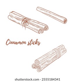 Vector cinammon sticks line art illustration, graphic line art. Spices for mulled wine. Cinnamon. Elegant line botanical illustration. Great for any designs, textile, art, walls, package