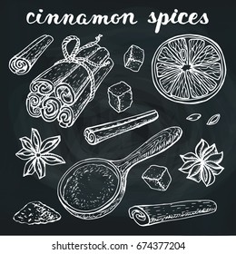 Vector Cinamon spices.Vinyage hand drawn Doodle Outline. Sketch, Illustration. Oranges,star anise,cinnamon,sugar,seeds. Cafe ,spice shop,menu.Organic and fresh cooking background.Chalkboard