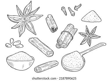 Vector Cinnamon spices. Vintage hand drawn Doodle Outline. Sketch, Illustration. Cafe ,spice shop,menu.Seeds and spices. Organic and fresh cooking background