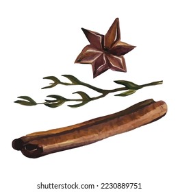 Palos de canela vectorial, clavos y hierbas sobre un fondo blanco