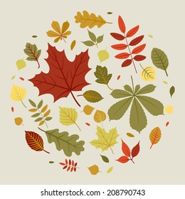 Vector circle composition of autumn leaves | Fall leaves composed into circle