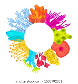 Vector circle frame with corals. Colorful sea or ocean life. Print on clothes, card, poster, cover, package, postcard, brochure, flyer for water park, aquarium or marine exhibition. Sticker, label