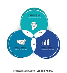 Opções do diagrama infográfico de círculo vetorial 3