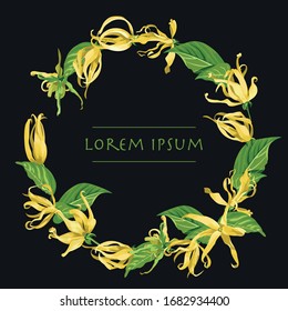 Vector circle wreath with ylang ylang flowers. Floral frame with tropical yellow flowers on a black background