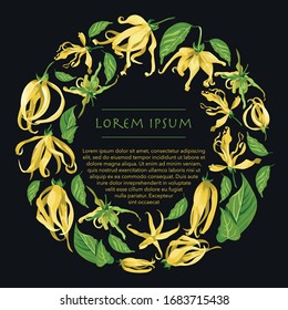 Vector circle wreath with ylang ylang flowers. Floral frame with tropical yellow flowers on a dark grey background
