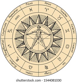 Vector circle of the Zodiac signs in retro style with hand-drawn Sun and human figure like Vitruvian man by Leonardo Da Vinci. Horoscope circle with twelve symbols for astrological forecasts