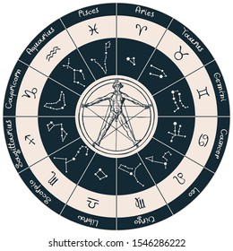 Vector circle of the Zodiac signs in retro style with hand-drawn human figure like Vitruvian man by Leonardo Da Vinci. Horoscope circle with twelve symbols for astrological forecasts