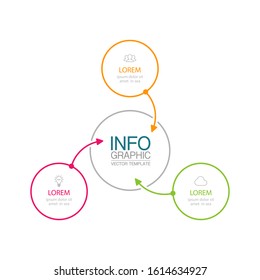 Vector circular infographic diagram, template for business, presentations, web design, 3 options.