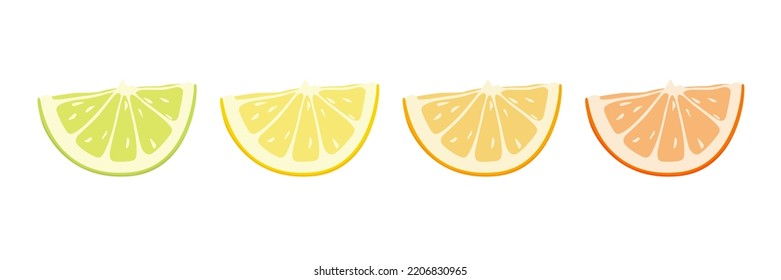 Vector Citrus Fruit Icon Set - Yellow Lemon, Green Lime, Orange Mandarin, Grapefruit. Slice Design Element Isolated on White Background