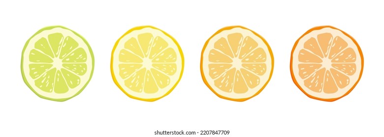 Juego de íconos de frutas de cítricos vectores - Limón amarillo, cal verde, mandarín naranja, pomelo. Elemento de diseño de rebanada redonda aislado en fondo blanco