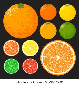 Vector Citrus Fruits Icon Collection. Orange, Grapefruit, Lemon, Lime. Stylized Orange Isolated in Hipster Style. Delicious Citrus Fruit for Banner, Template, Illustration, Advertizing, Card.