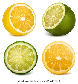 Vector citrus fruits  lime and lemon.