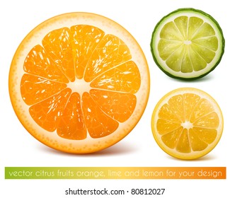 Vector citrus fruits: orange, lime and lemon.