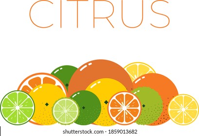 Vector Citrus Fruits pack y mitad de Citrus en rodajas sobre fondo blanco