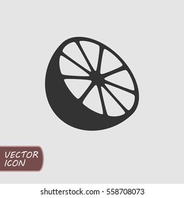 Vector Citrus Icon