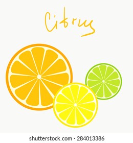 Vector citrus set. Orange slices. Vector lemon slice