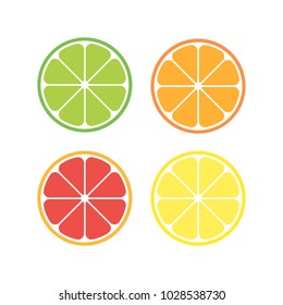 vector citrus slices