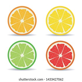 vector citrus slices illustration illustration