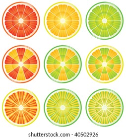 vector citrus slices as illustration of healthy diet