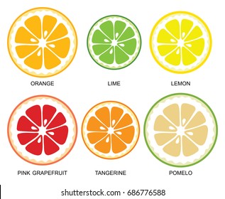 Vector Lemon Fresh Lemon Fruits Collection Stock Vector (Royalty Free ...