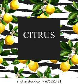Vector citrus sticker. Hand drawn illustration with seamless vector pattern. Naturalistic lemons. Template for print, package design.