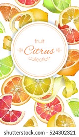 Vector citrus vertical banner. Design for juice, tea, ice cream, lemonade, jam, natural cosmetics, sweets and pastries filled with citrus fruit, dessert menu, health care products.With place for text