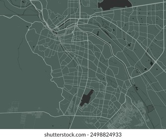 Vector city map of Ciudad Juarez in Mexico with white roads isolated on a green background.