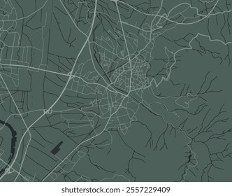 Vector city map of Dornbirn in Austria with white roads isolated on a green background.