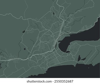 Vector city map of Dunedin in New Zealand with white roads isolated on a green background.