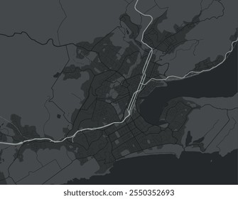 Vector city map of Dunedin in New Zealand with white roads isolated on a grey background.