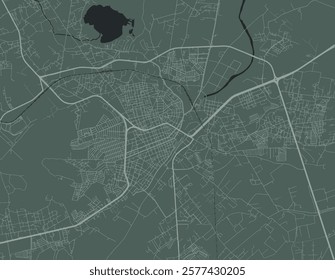 Vector city map of Lagos de Moreno in Mexico with white roads isolated on a green background.