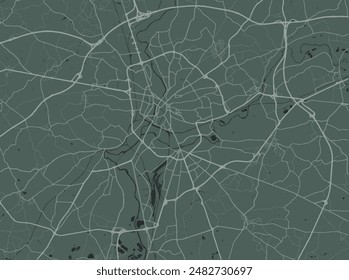 Vector city map of Le Mans in France with white roads isolated on a green background.