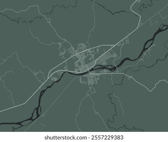 Vector city map of Martinez de la Torre in Mexico with white roads isolated on a green background.