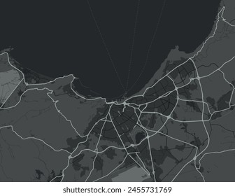 Vector city map of Oran in Algeria with white roads isolated on a grey background.