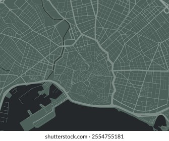 Vector city map of Palma de Mallorca Centro in Spain with white roads isolated on a green background.