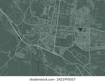 Vector city map of San Juan del Rio in Mexico with white roads isolated on a green background