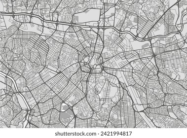 Mapa vectorial de la ciudad de Sao Paolo en Brasil con carreteras negras aisladas en un fondo gris.