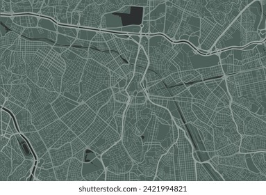 Mapa vectorial de la ciudad de Sao Paolo en Brasil con caminos blancos aislados en un fondo verde.