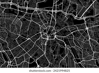 Mapa vectorial de la ciudad de Sao Paolo en Brasil con caminos blancos aislados en un fondo negro.