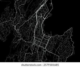 Vector city map of Wellington center in New Zealand with white roads isolated on a black background.