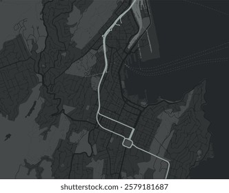 Vector city map of Wellington center in New Zealand with white roads isolated on a grey background.