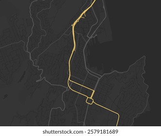 Vector city map of Wellington center in New Zealand with yellow roads isolated on a brown background.