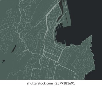 Vector city map of Wellington center in New Zealand with white roads isolated on a green background.