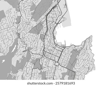 Vector city map of Wellington center in New Zealand with black roads isolated on a grey background.