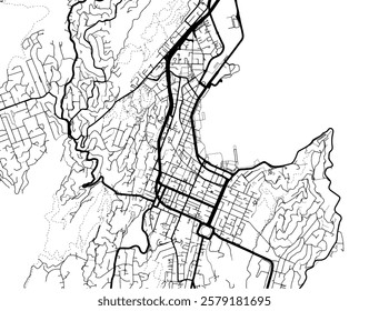 Vector city map of Wellington center in New Zealand with black roads isolated on a white background.