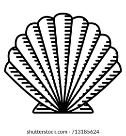 Vector Clam Isolated On White Background